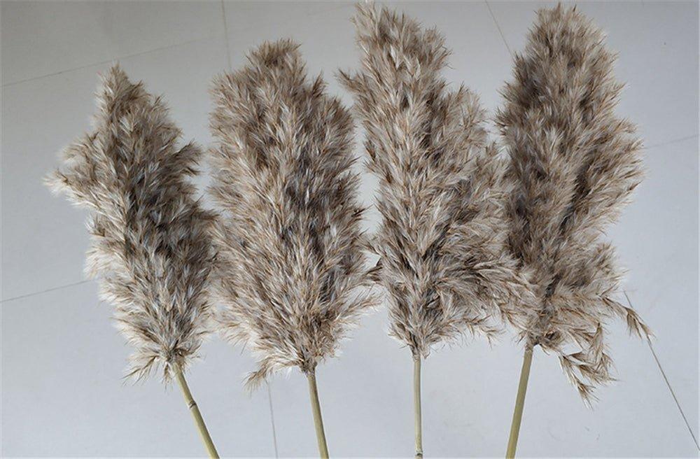 Skanto | 60 cm naturlig, ekte, brunt-beige tørket pampasgress bukett │ fluffy fjær for moderne boho hjemmeinnredning