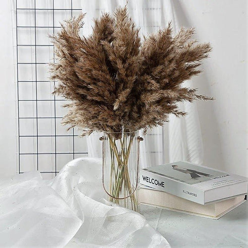 Skanto | 60 cm naturlig, ekte, brunt-beige tørket pampasgress bukett │ fluffy fjær for moderne boho hjemmeinnredning