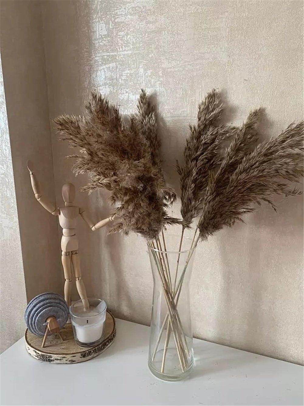 Skanto | 60 cm naturlig, ekte, brunt-beige tørket pampasgress bukett │ fluffy fjær for moderne boho hjemmeinnredning