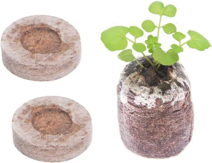 Skanto | Kokosfiber Torv Frøplante Pellets – Startpakke for Frøplante