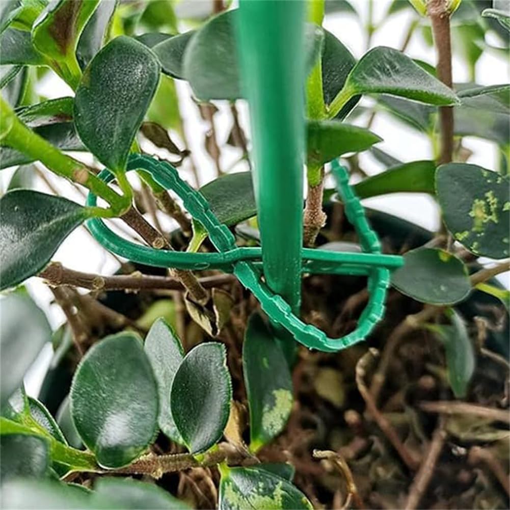 Skanto | Plante feste kabelbåndsett for stabil sikring av planter
