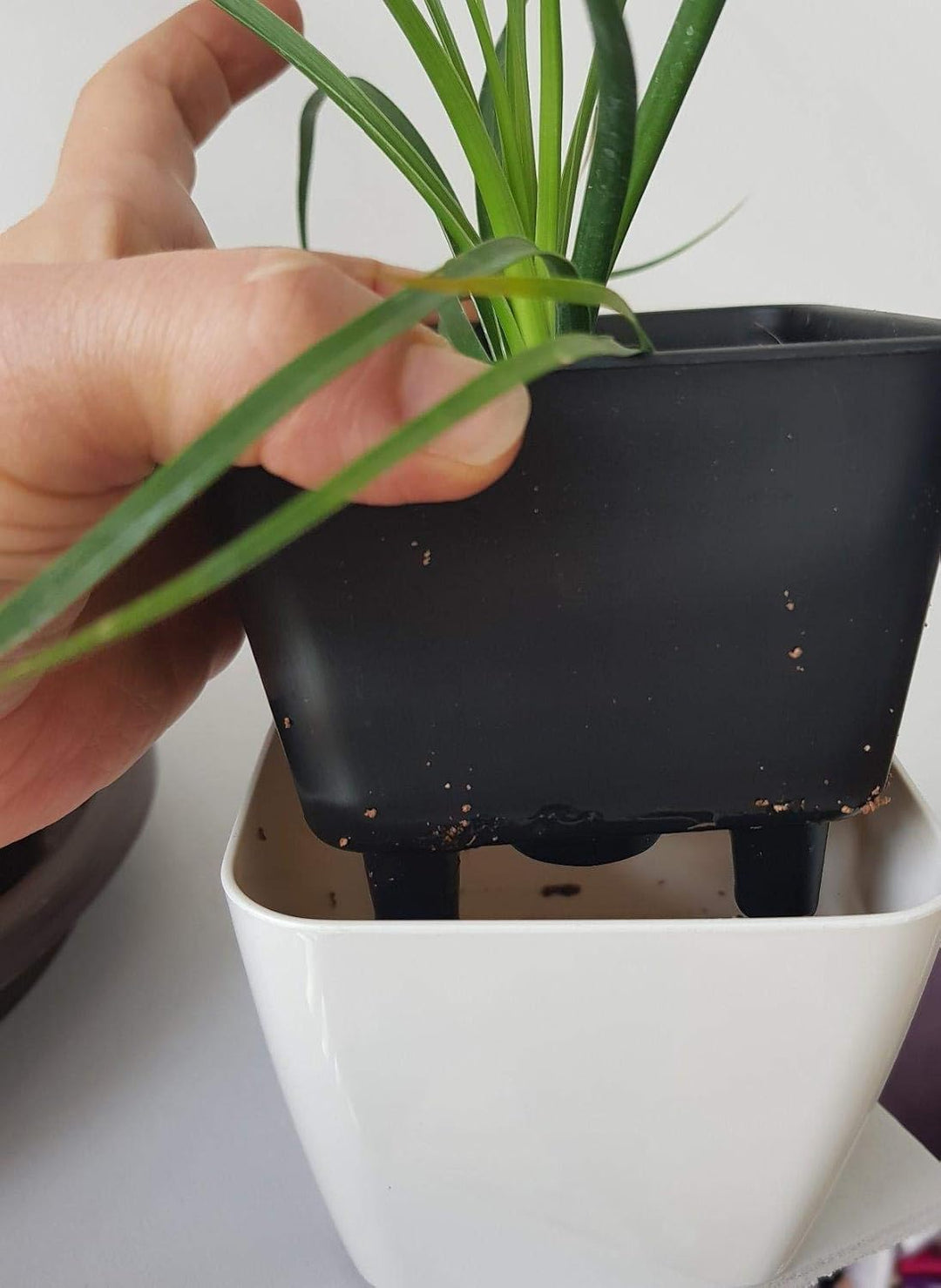 Skanto | Blomsterkrukke med irrigasjonssystem – Selvvannende plantekrukke for innendørs og utendørs bruk