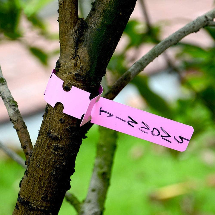 Skanto | Gjenbrukbare planteetiketter laget av plast for hage- og tremerking