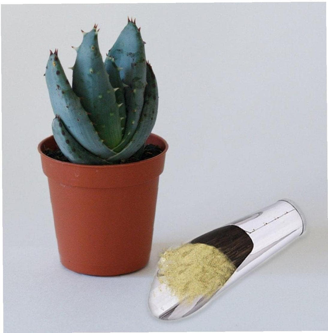 Skanto | Rustfritt Stål Scoop for Pottemuld – Robust Plantescoop for Hage og Balkong