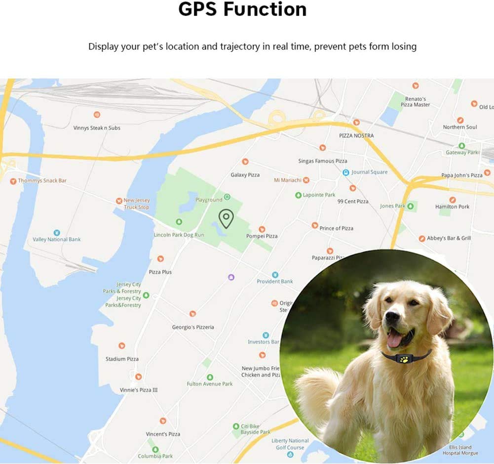 Intelligente GPS-Haustierhalsband med Echtzeit-Tracking, Geofencing-Warnungen og Schlafmodus for Katzen og Hunde