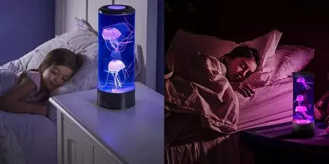 Skanto | Manet LED-lampe og akvarium