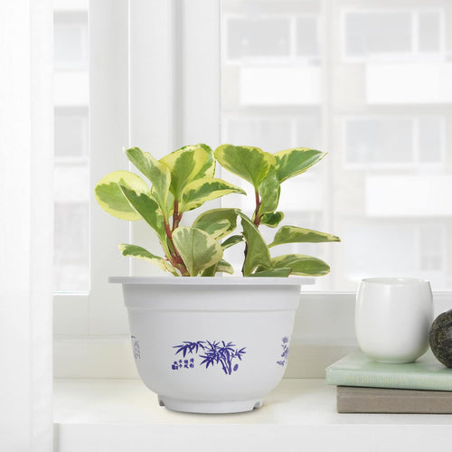 Skanto | Plastblomsterkrukke med bambusmotiv – Elegant planter for balkong og hage
