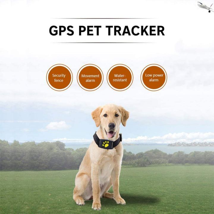 Skanto | Smart GPS Pet Collar med Sanntidssporing, Geo-Gjerdevarsler & Søvntilstand for Katter og Hunder