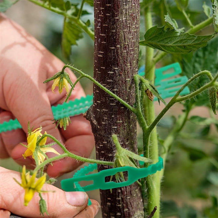 Skanto | Plante feste kabelbåndsett for stabil sikring av planter