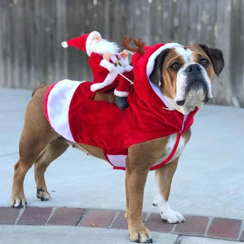 Skanto | Santa riding outfit