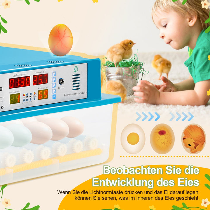 Brutautomat Helautomatiske Inkubator for Kyllinger 64 Egg | Skanto