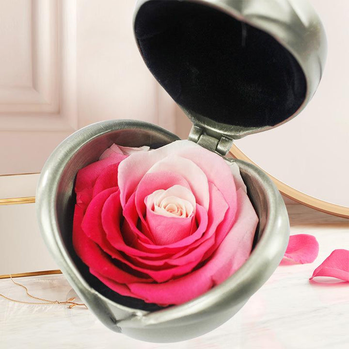 Skanto | Bevarte Blomst Rose