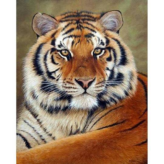 Tiger Portrett - GemPaint Sett | Skanto