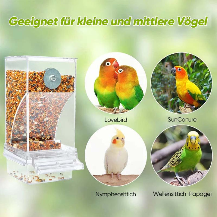 Automatisk, lekkasjesikker fuglebrett | Skanto
