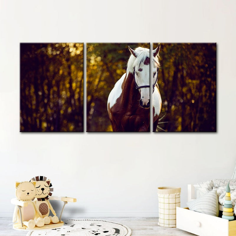 Høvisk Overo-hest – lerretsbilde, 3-delt sett