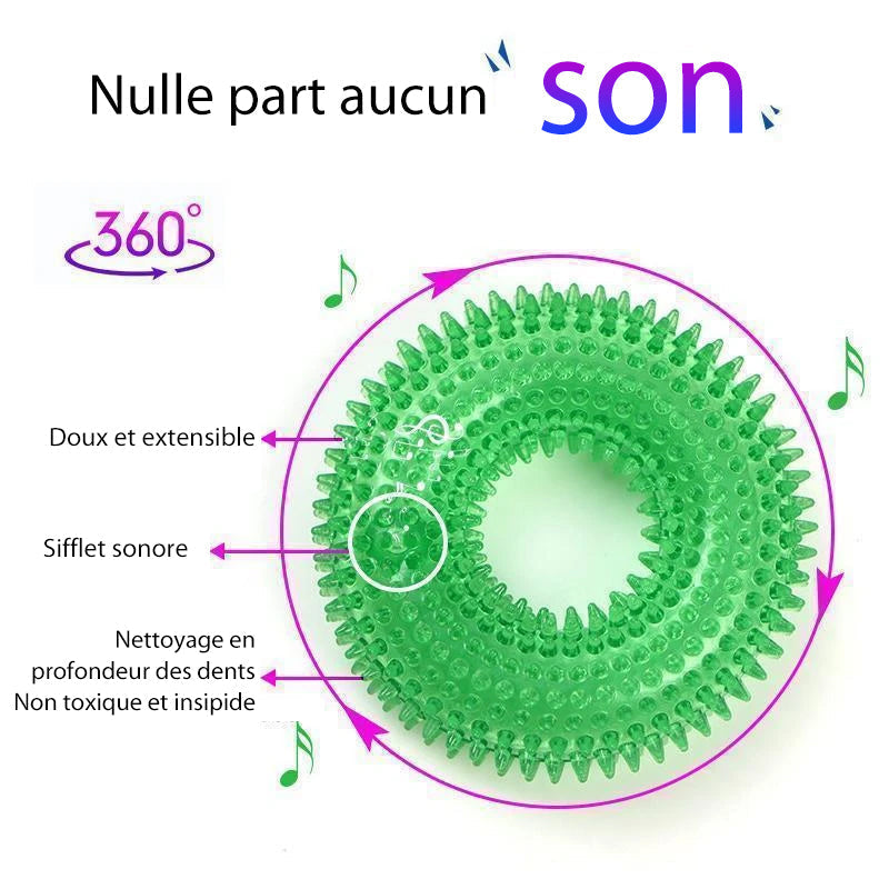 Vocal Ball Hundekjøttleketøy | Skanto
