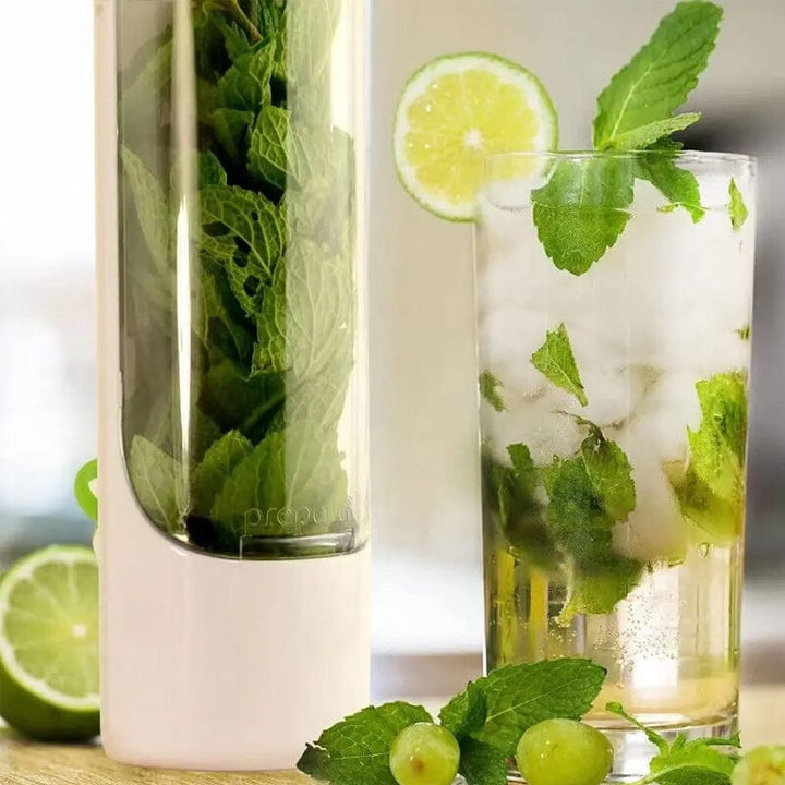Skanto | Herb Fresh Holder