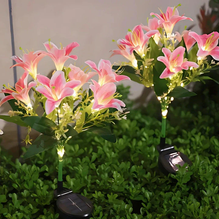 Skanto | Everbloom Solblomster Lys