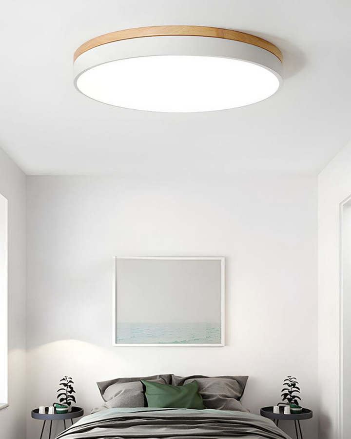 Skanto | Moderne Taklampe med Naturinspirert Form