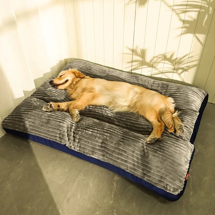 Skanto | DreamRest Orthopedisk Hundeseng – Fluffy, Støttende & Vaskbar Komfort