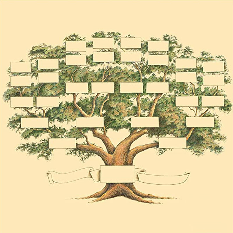 Familietre Genealogi Diagram | Skanto