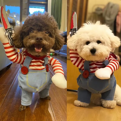 Skanto | Chucky-inspired pet costume for dogs and cats