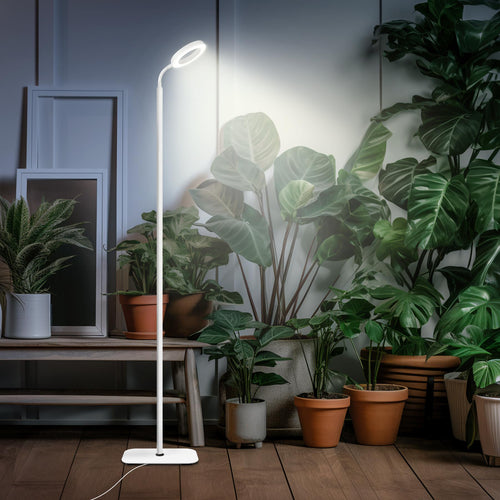 Skanto | Mistyjungle Vekstlys For Innendørsplanter, Gulv Fullspektrum Plante Lys Med Stativ, Store Vekstlamper Med Automatisk Timer, 60 Tommers Høydejusterbar, 10 Nivå Dimmbar, Hvit Halo Led Vekst Lampe