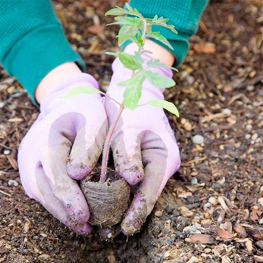 Skanto | Kokosfiber Torv Frøplante Pellets – Startpakke for Frøplante