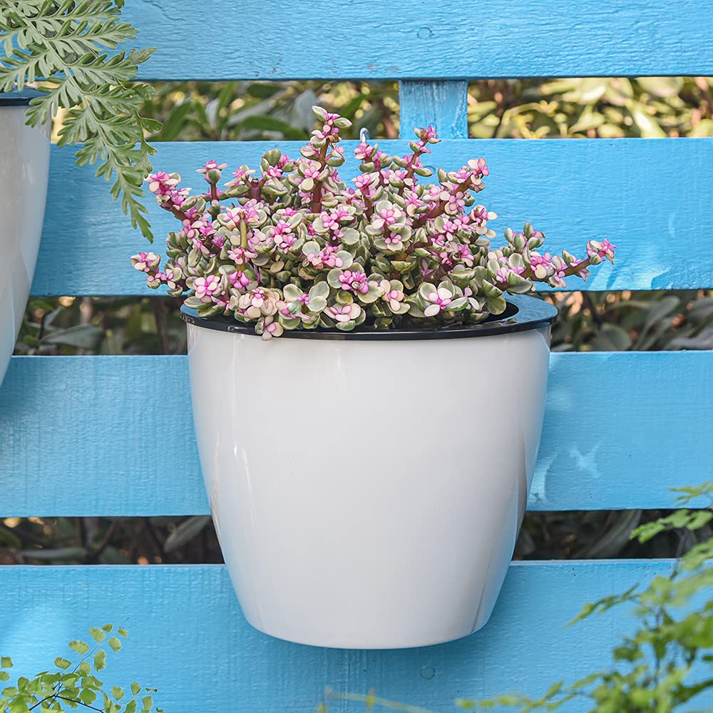 Skanto | Selvvannende hengende planterpotte – Moderne blomsterpotte for veggmontering