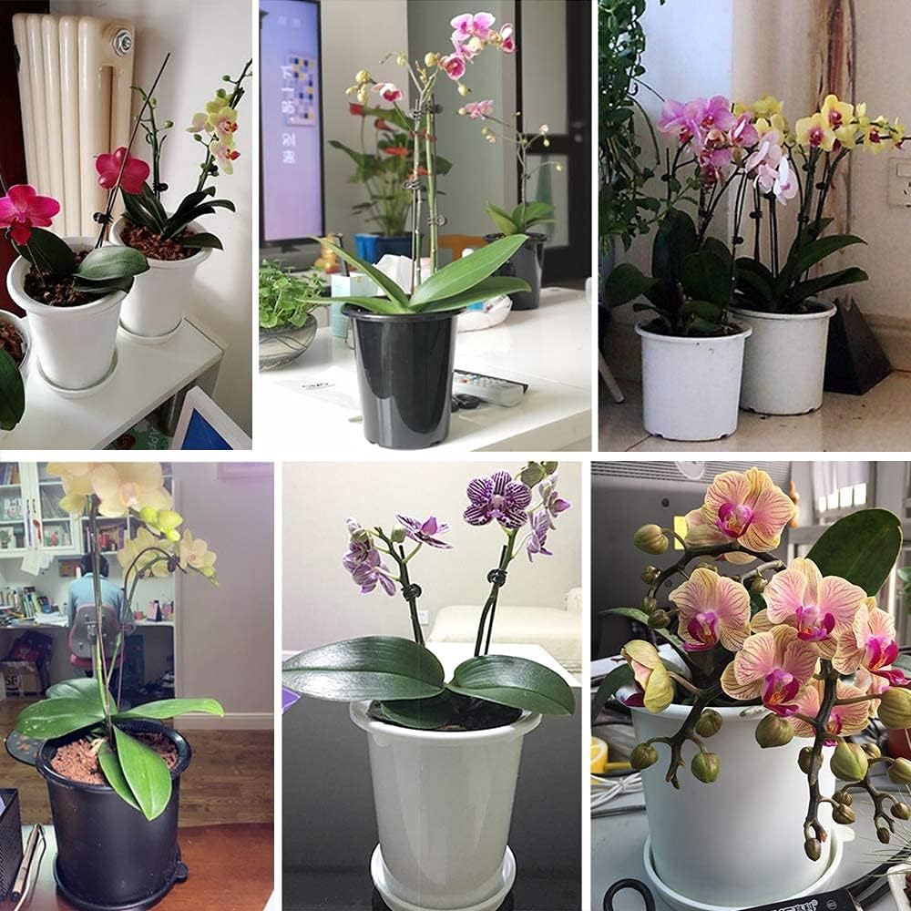 Skanto | Pustende Rotkontroll Potte for Planter – Ideell for Sunt Vekst og Optimal Lufting