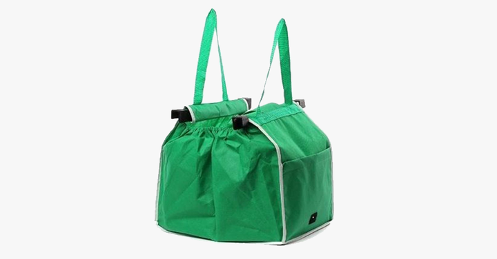 Skanto | Den ultimate termisk isolerte handleposen