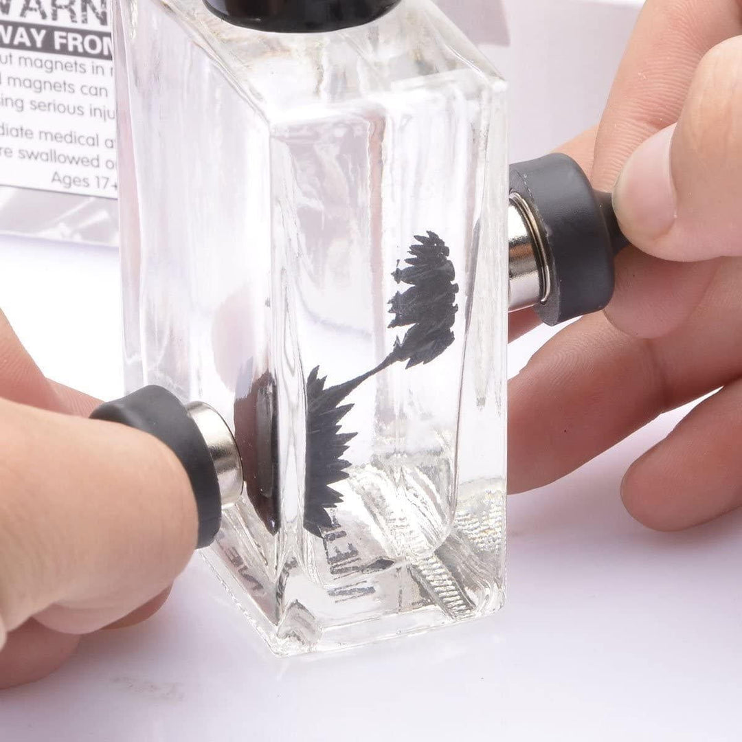 Ferrofluid Magnetisk Utstillingsleketøy | Skanto