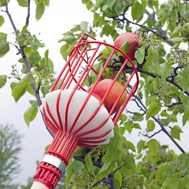 Fruktplukker Verktøy | Skanto