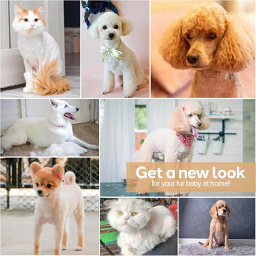 Skanto | Hundefrisering Clippers Sett
