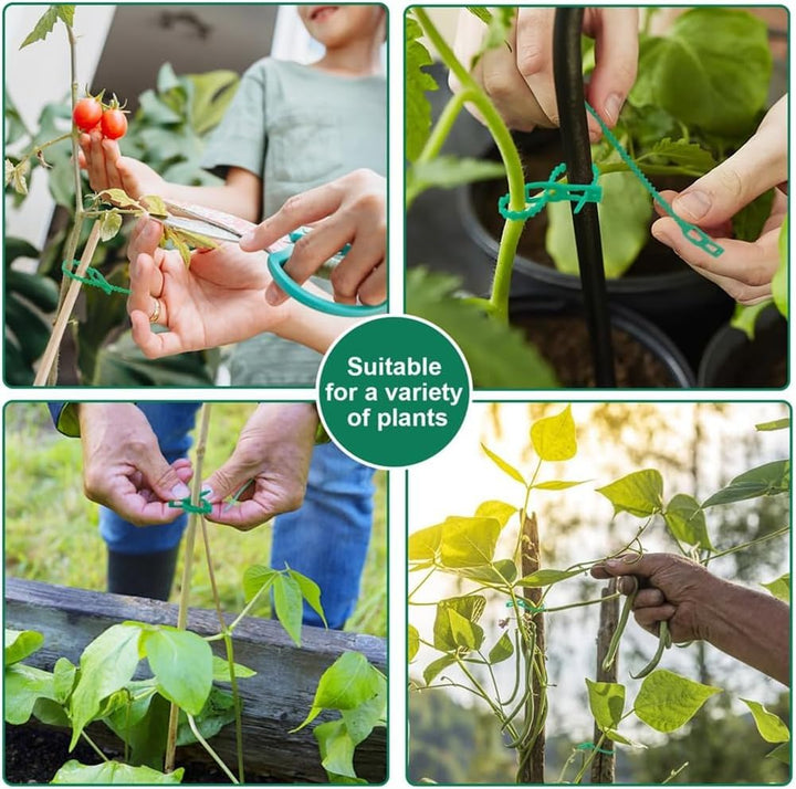 Skanto | Plante feste kabelbåndsett for stabil sikring av planter