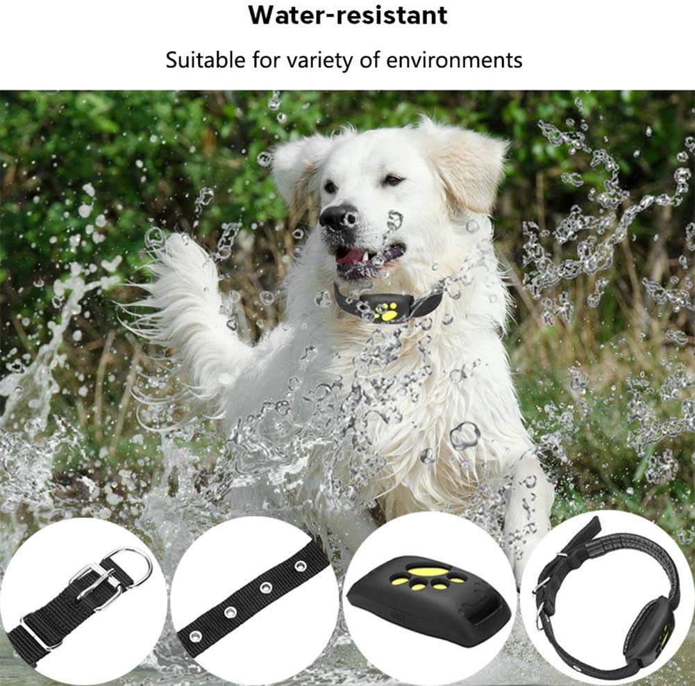 Skanto | Smart GPS Pet Collar med Sanntidssporing, Geo-Gjerdevarsler & Søvntilstand for Katter og Hunder