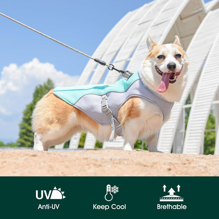 Skanto | Sommer Reflekterende Hundekjølevest & Hurtigutløsningssele