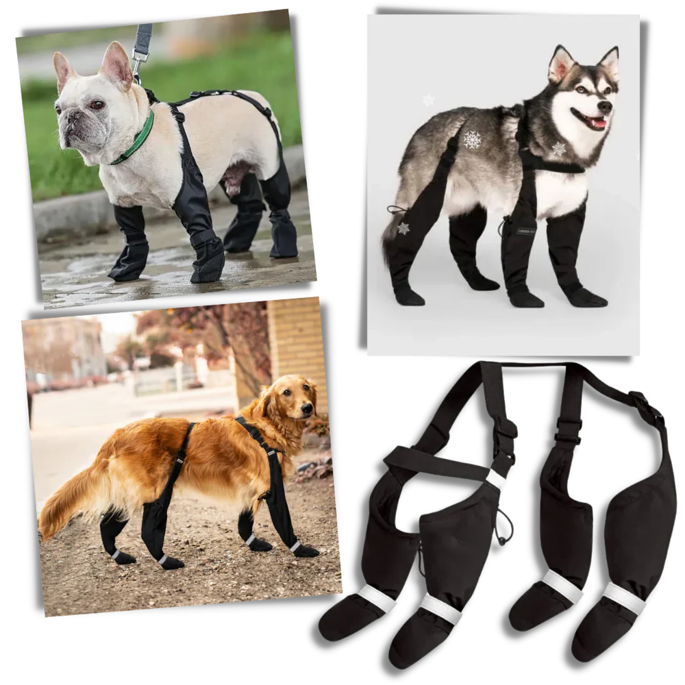 Skanto | Vannavvisende Hundesuspendere Støvler