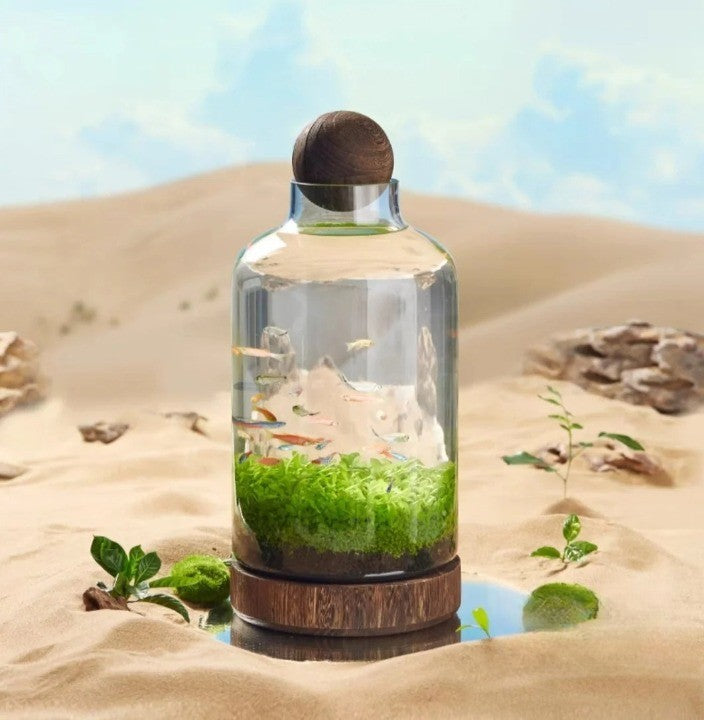 Microakvarium Kompakt Glass Økologisk Fisketank | Skanto