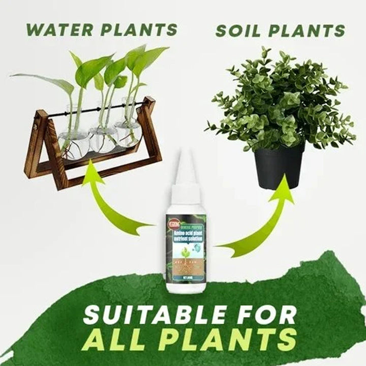 Skanto | Plante næringsløsning