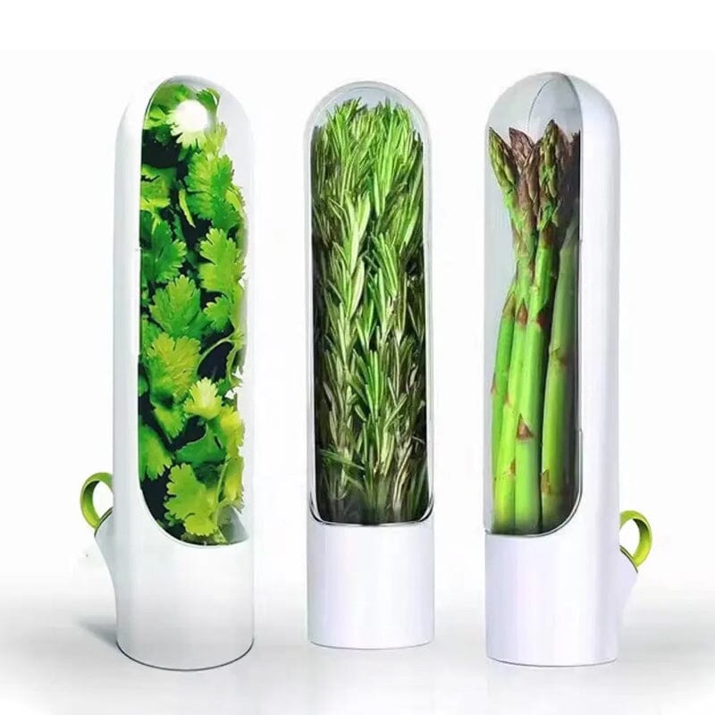 Skanto | Herb Fresh Holder