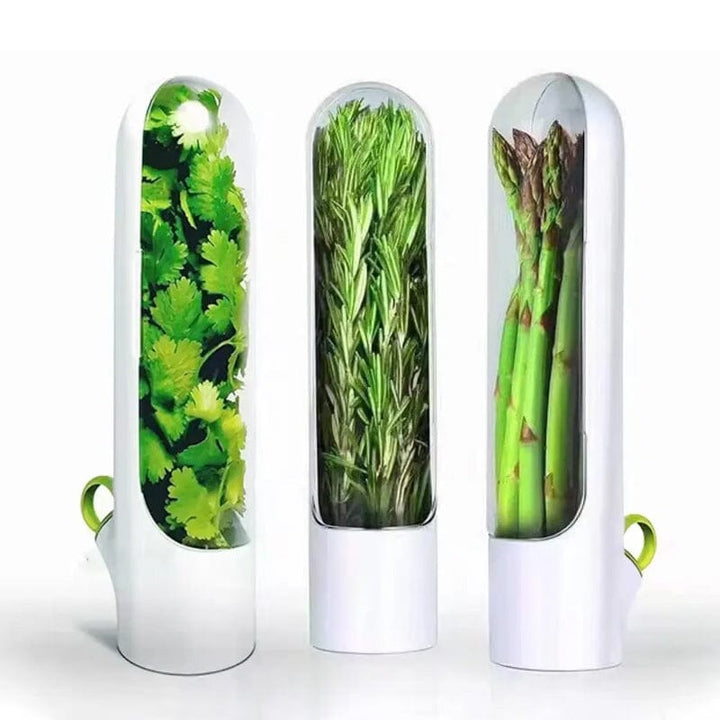 Skanto | Herb Fresh Holder