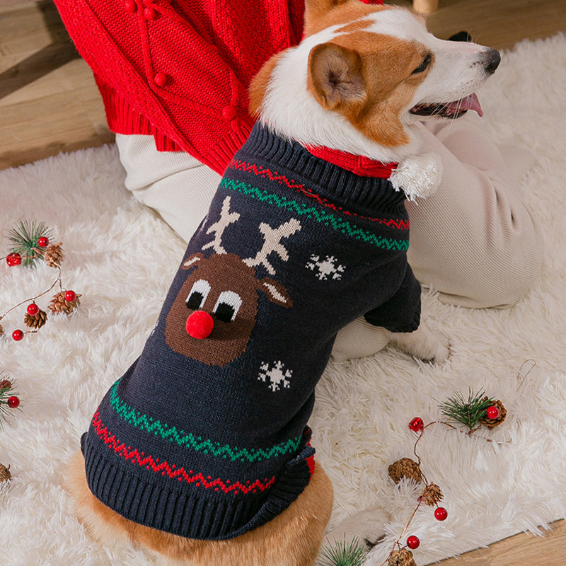 Varm julekleding for kjæledyr | Skanto