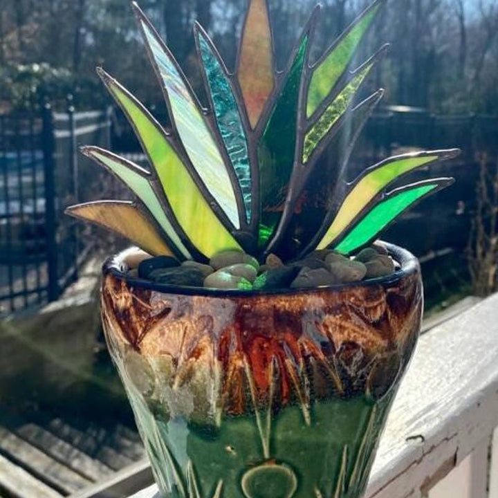 Skanto | Mini Pottede Planter Dekorasjon Hage Ornamenter