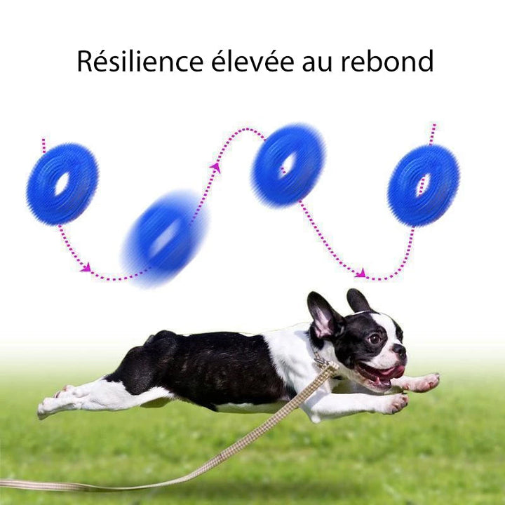 Vocal Ball Toy for Dog to Bite | Skanto
