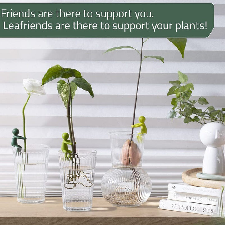 Skanto | Planteformering Venn