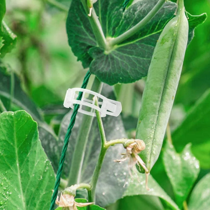 Skanto | Plante støtteklips