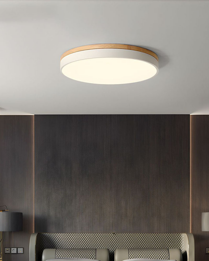 Skanto | Moderne Taklampe med Naturinspirert Form