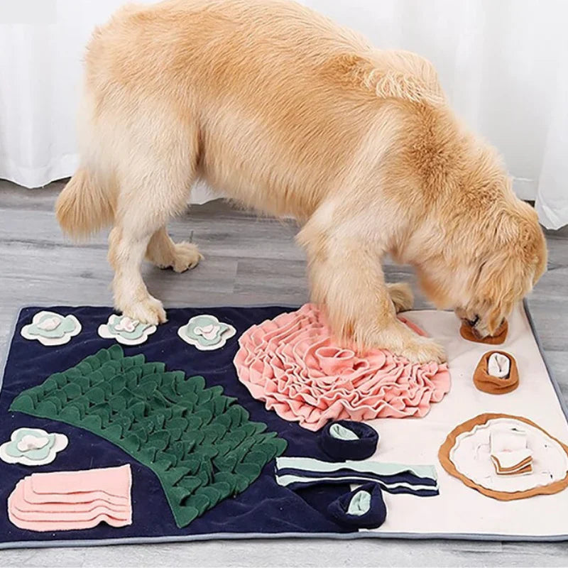 ScentQuest Interaktiv Sniffing Mat – SniffMaster Skanto