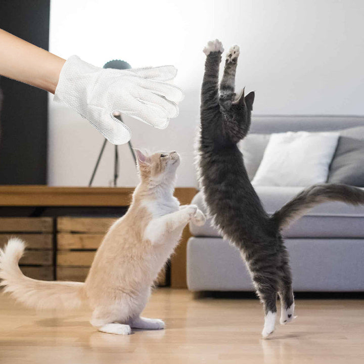 Skanto | Pet Håndkle Wipes for Hunder & Katter